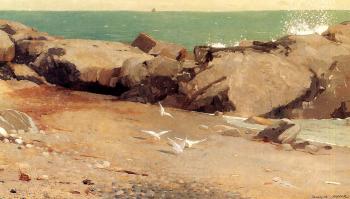 溫斯洛 荷默 Rocky Coast and Gulls